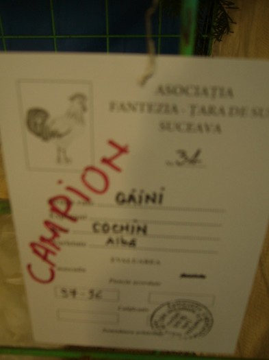 P1170451