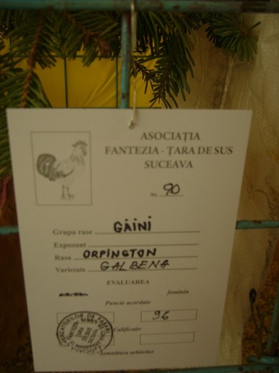 P1170493