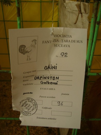 P1170498
