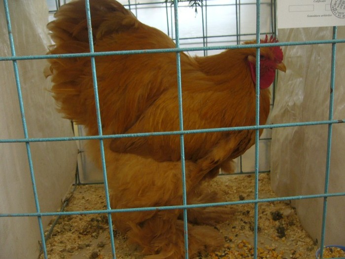 P1170541