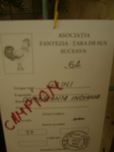 P1170592