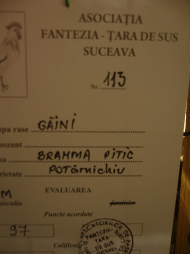 P1170632 - gainile