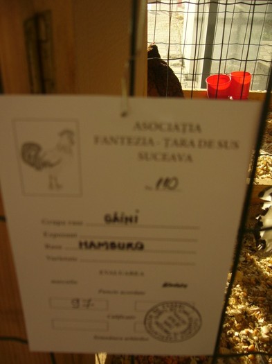 P1170656