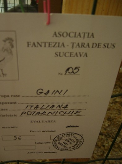 P1170688 - gainile