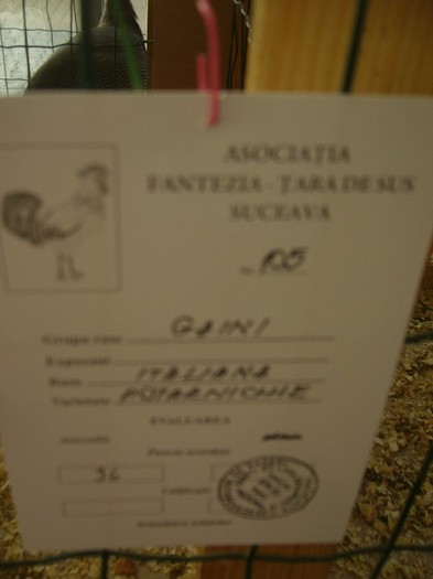 P1170689