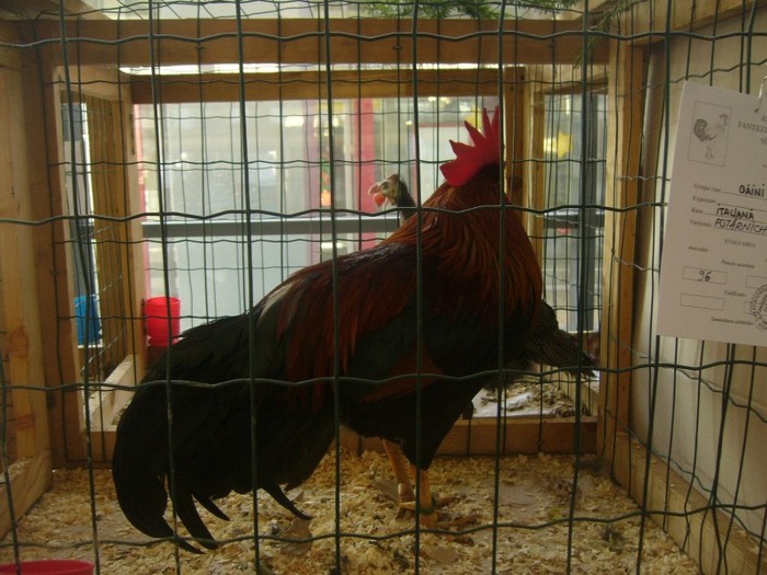 P1170702