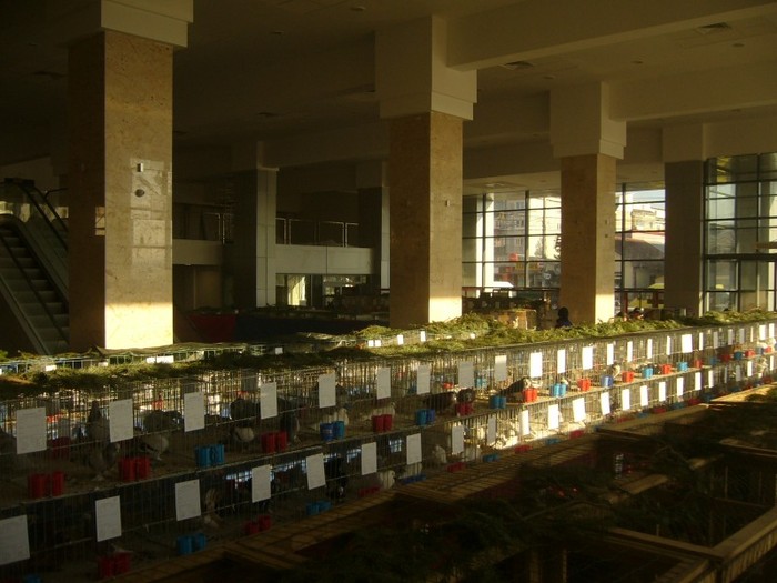 P1170708