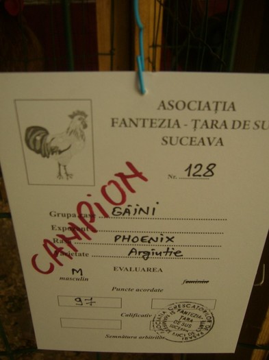 P1170722 - gainile