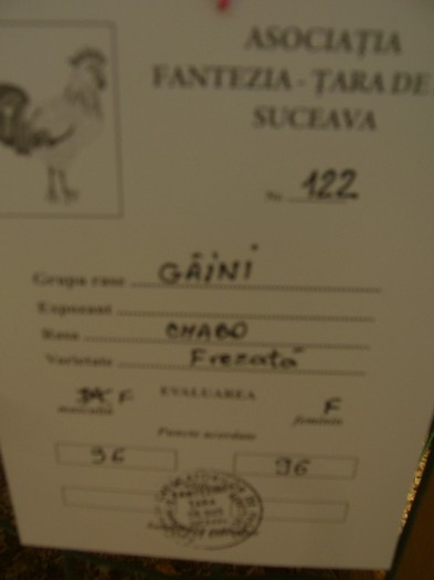 P1170749 - gainile
