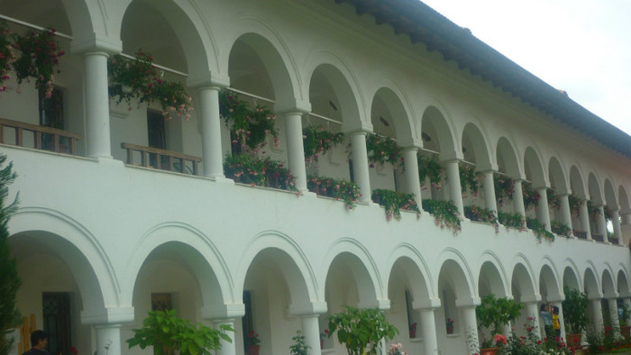 P1030759
