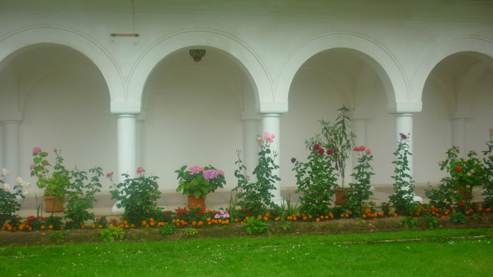P1030761