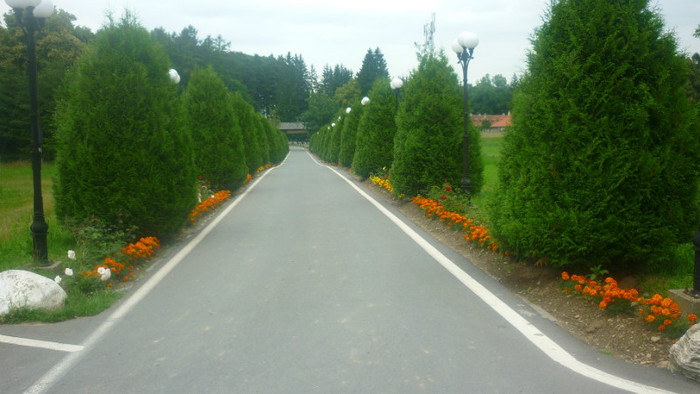P1030767