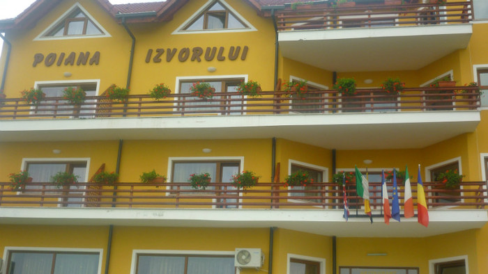 P1030768