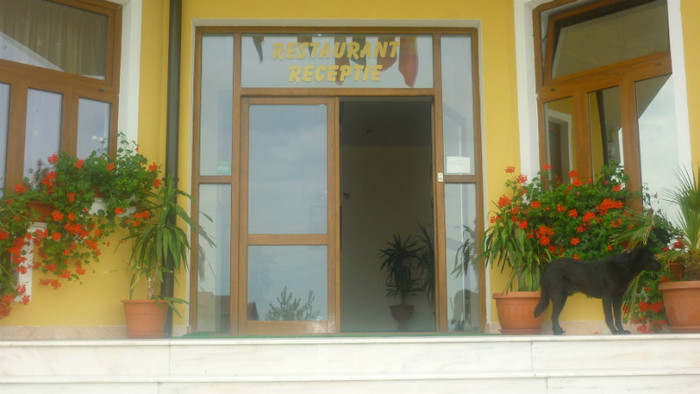 P1030769