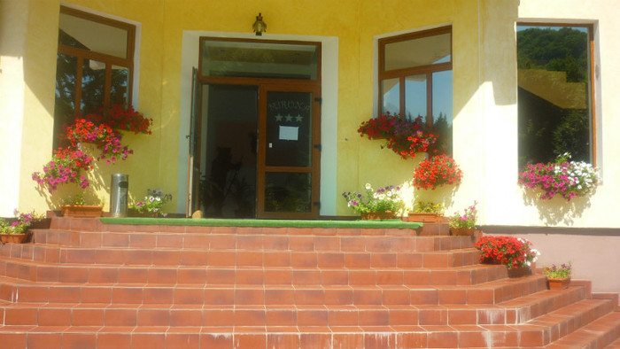 P1030788