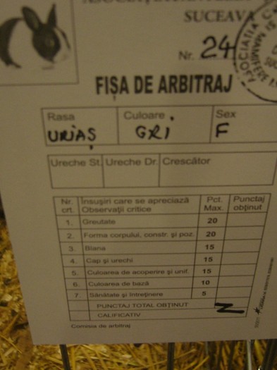 P1170887