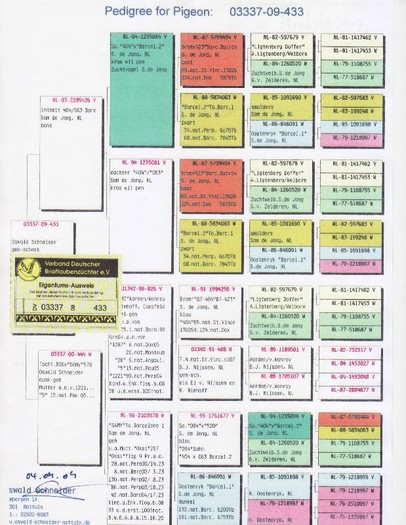 ped1gree  1 - pedigree