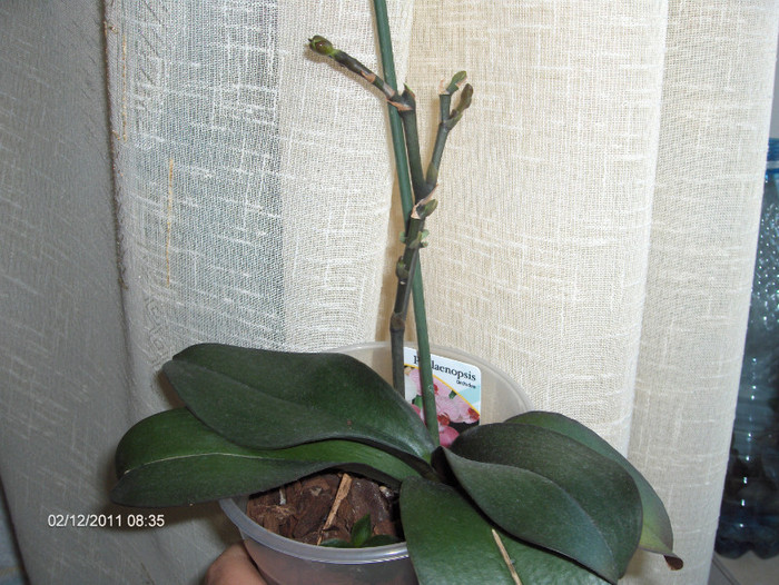 evolutie 2011-2012...