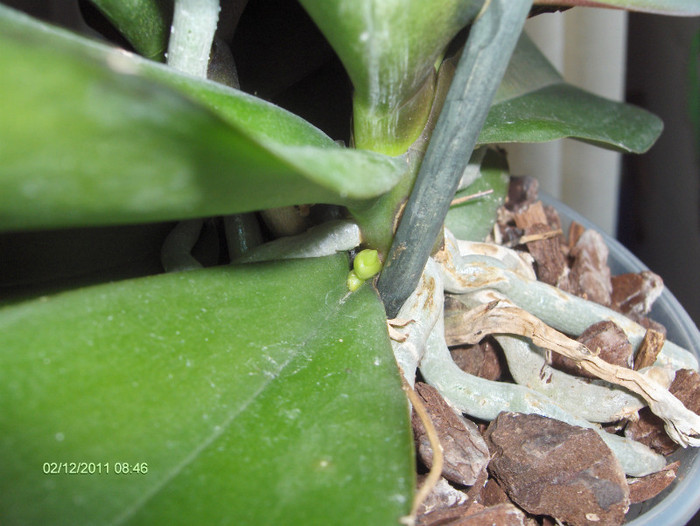 evolutie 2011-2012...