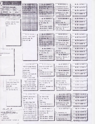 pedegree 8 - pedigree