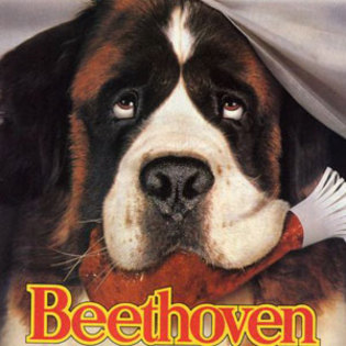beethoven-dog - Vedete Vechi si noi