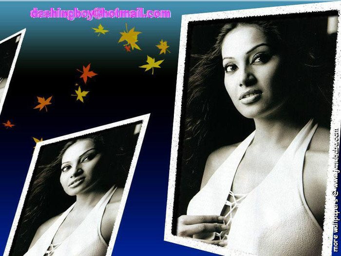 wp_200449104151PVXA3R - Bipasha Basu
