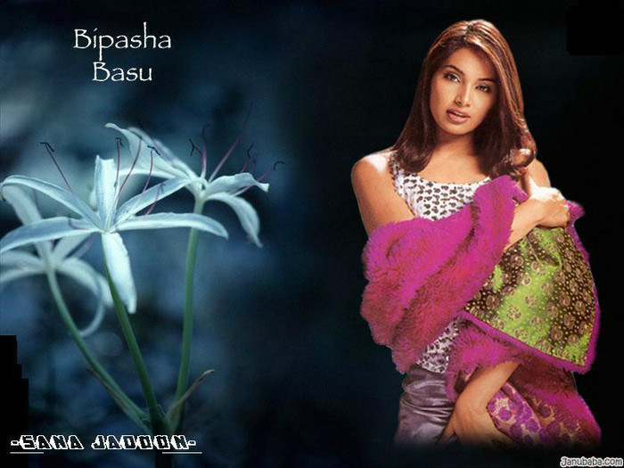 wp_Janubaba_bi_200411272337473M5DNN