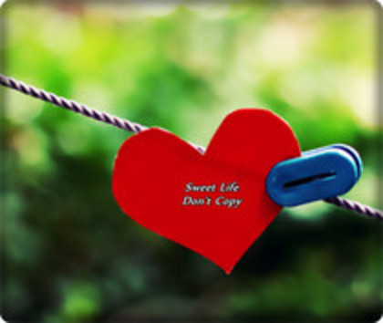 53182839_XXCCOTN2 - pozeee tariiii