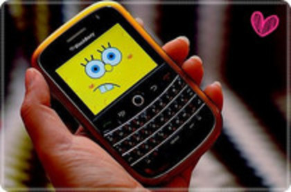 53182903_JTKYVNC2 - pozeee tariiii