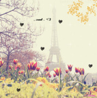 53182917_JBBOYQK2 - pozeee tariiii