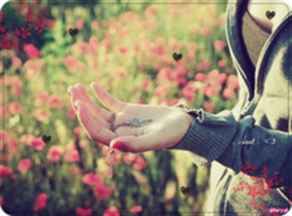 53182922_EKPXWIZ2 - pozeee tariiii