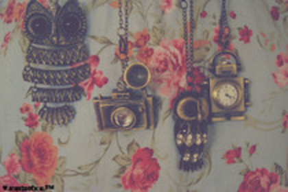 53183288_OAECGVH2 - pozeee tariiii