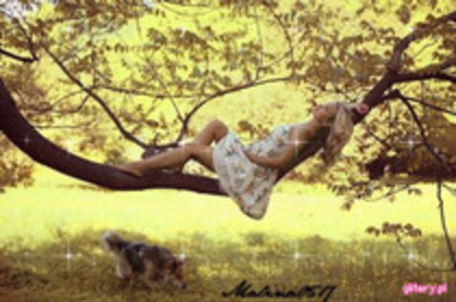 53183302_KVMYBDF2 - pozeee tariiii