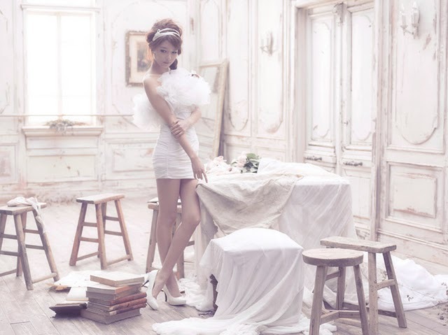 SNSD-1st-Japanese-Album-girls-generation-snsd-23557733-640-479