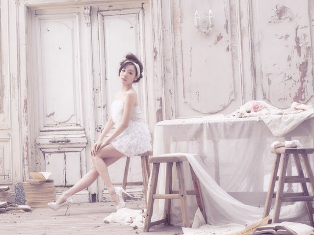 SNSD-1st-Japanese-Album-girls-generation-snsd-23557726-640-479
