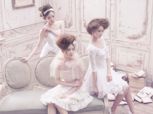 SNSD-1st-Japanese-Album-girls-generation-snsd-23557732-640-479