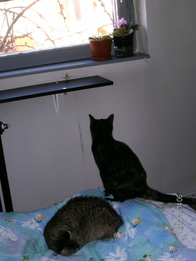 cel mai tanar se plictiseste repede...:))