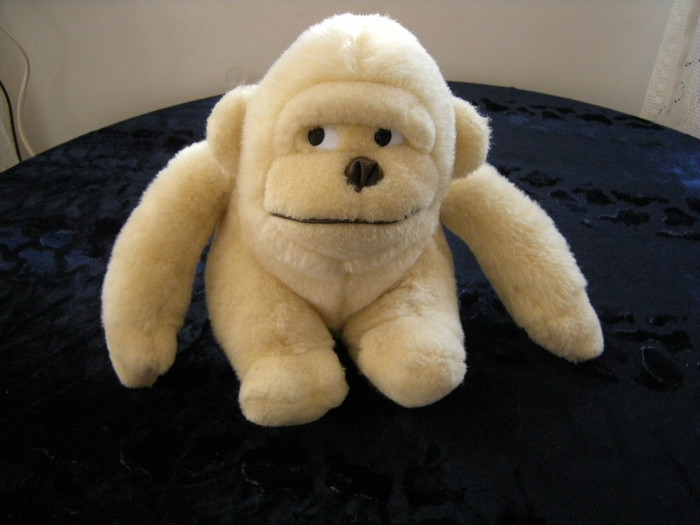 DSCN3833 - de vanzare la cele mai bune preturi