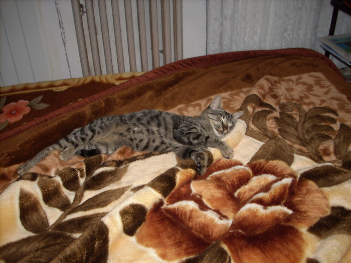 Photo 002