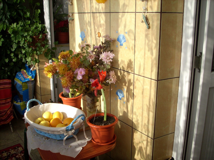 Photo 020