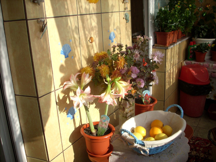 Photo 021