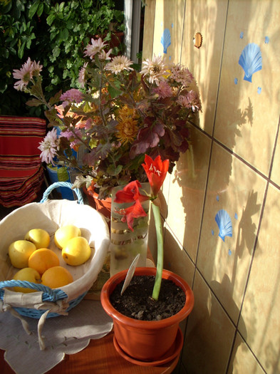 Photo 023