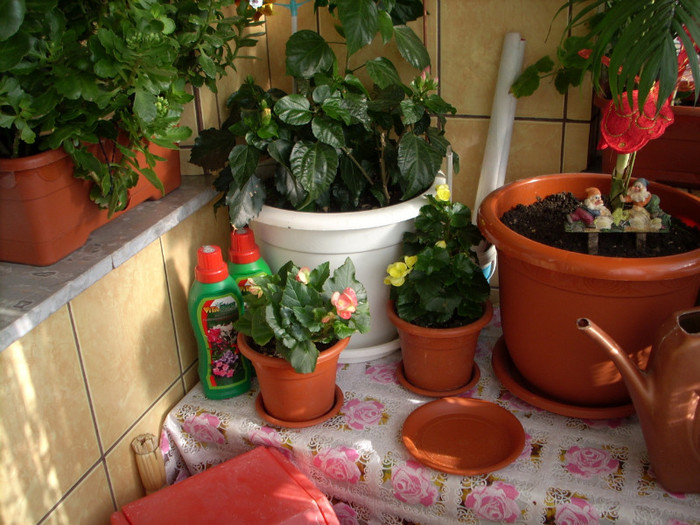Photo 024