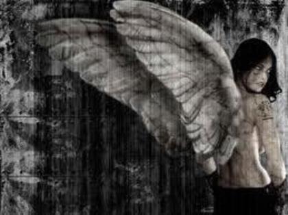 391701_166934616736853_166875776742737_288930_1238677838_n