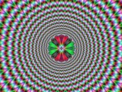 225x169_80702e9c1a94f5d125594539034817