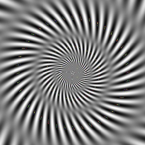 313