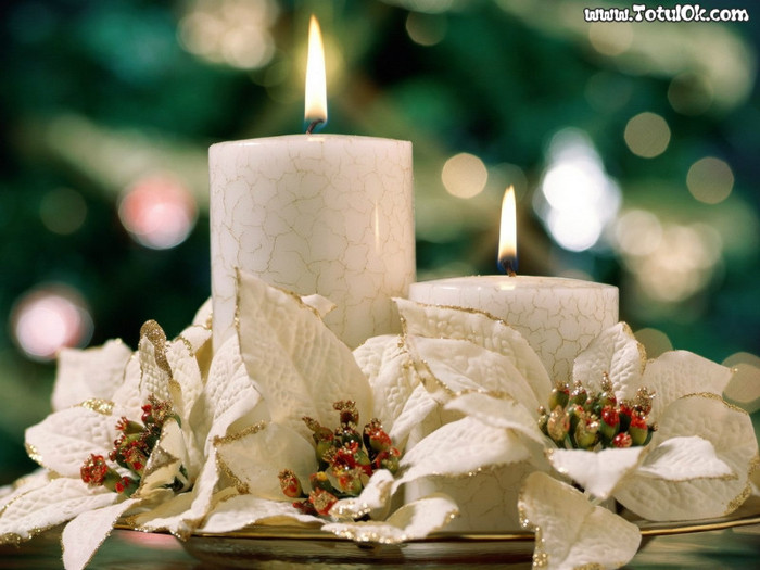 Lumanari[www.TotulOk.com] - Poze cu detoate