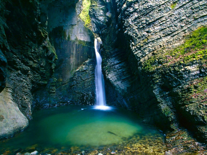 poze desktop natura - Poze cu detoate
