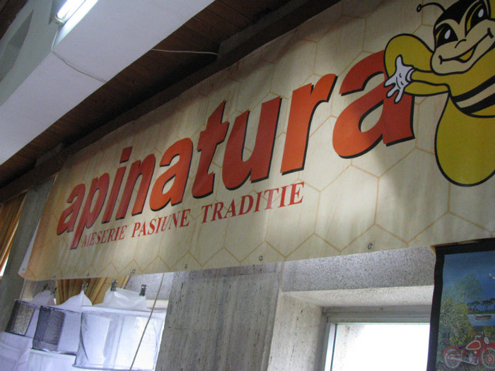 IMG_1581 - campina