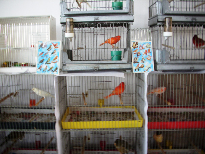 expo 2011 Craiova 070